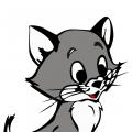 Amol55